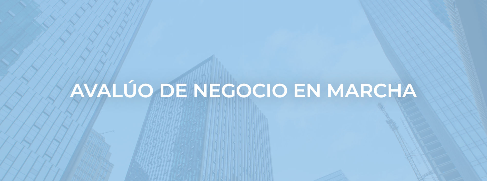 Servicio de avalúo de negocio en marcha por Anepsa Global