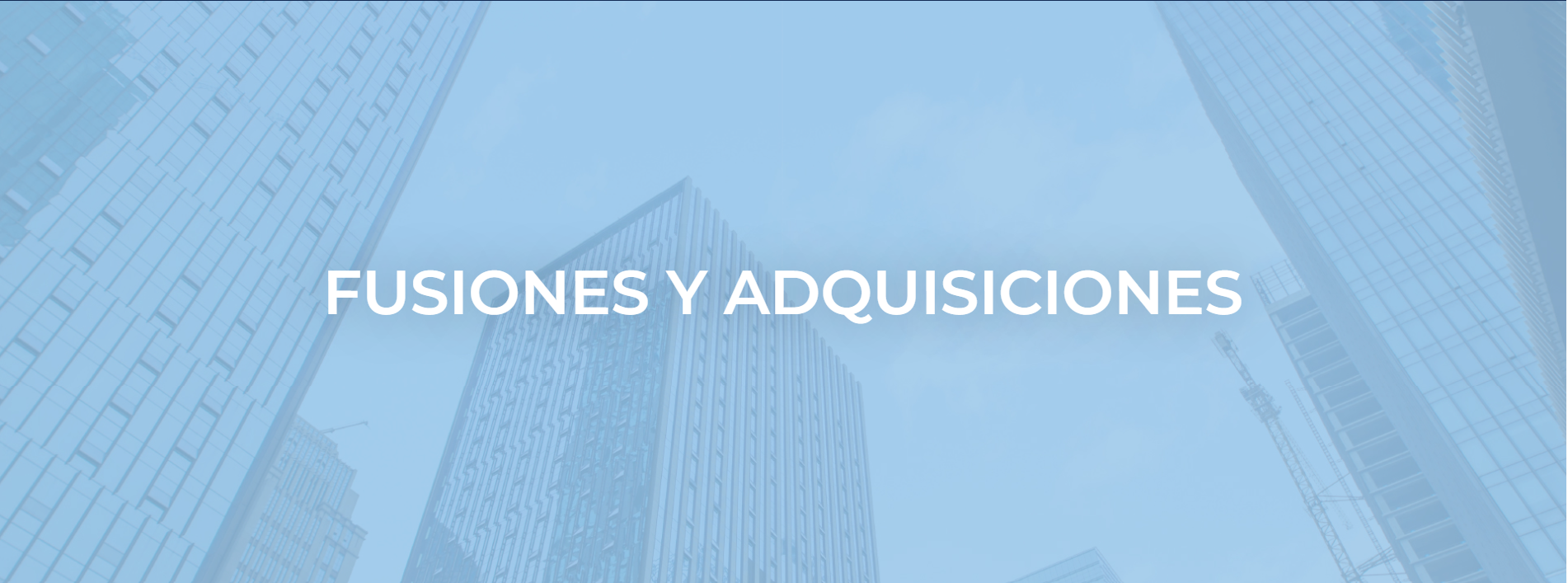 ervicio de fusiones y adquisiciones de empresas por Anepsa Globa